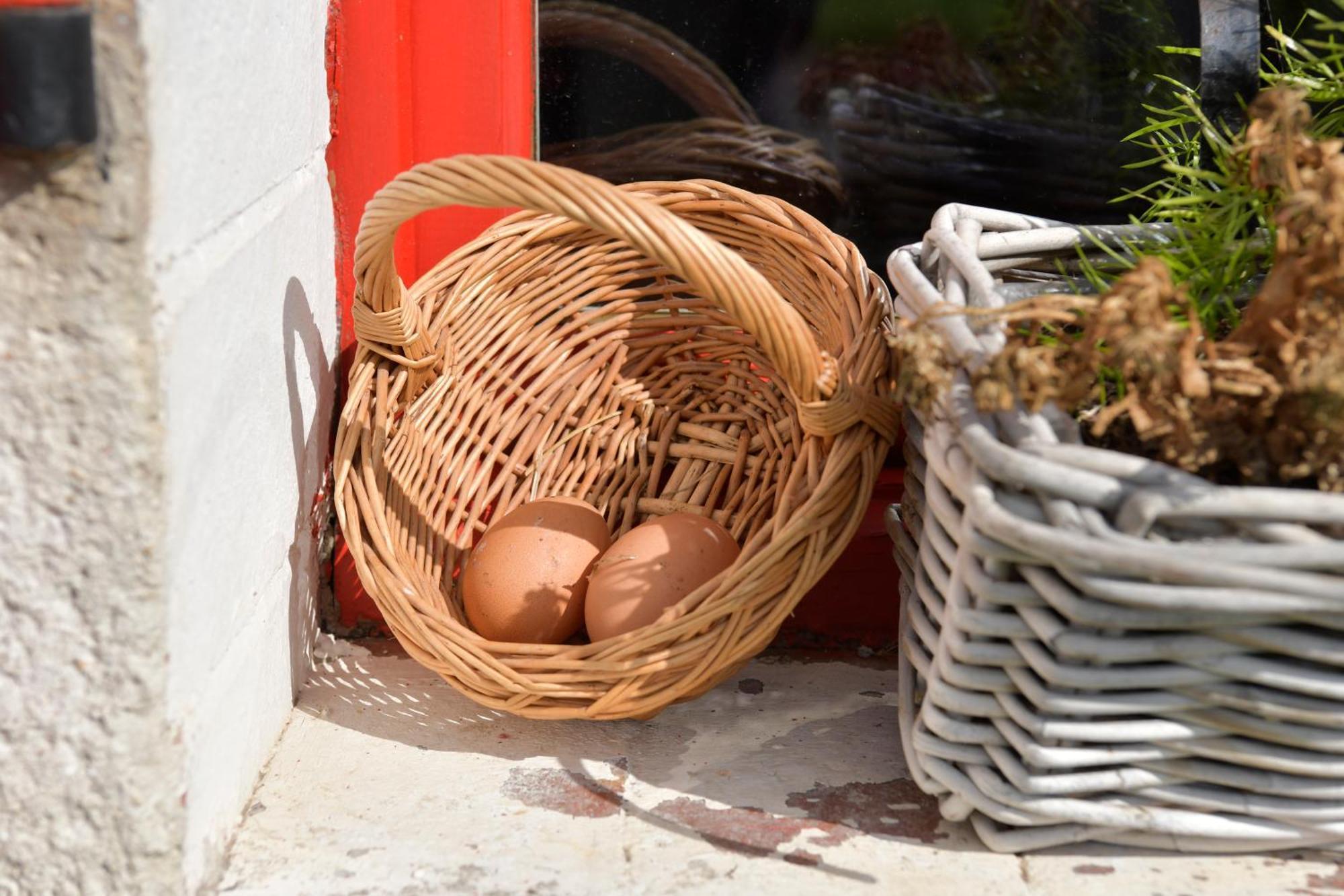 Maisonnette La Roche-en-Brenil 外观 照片